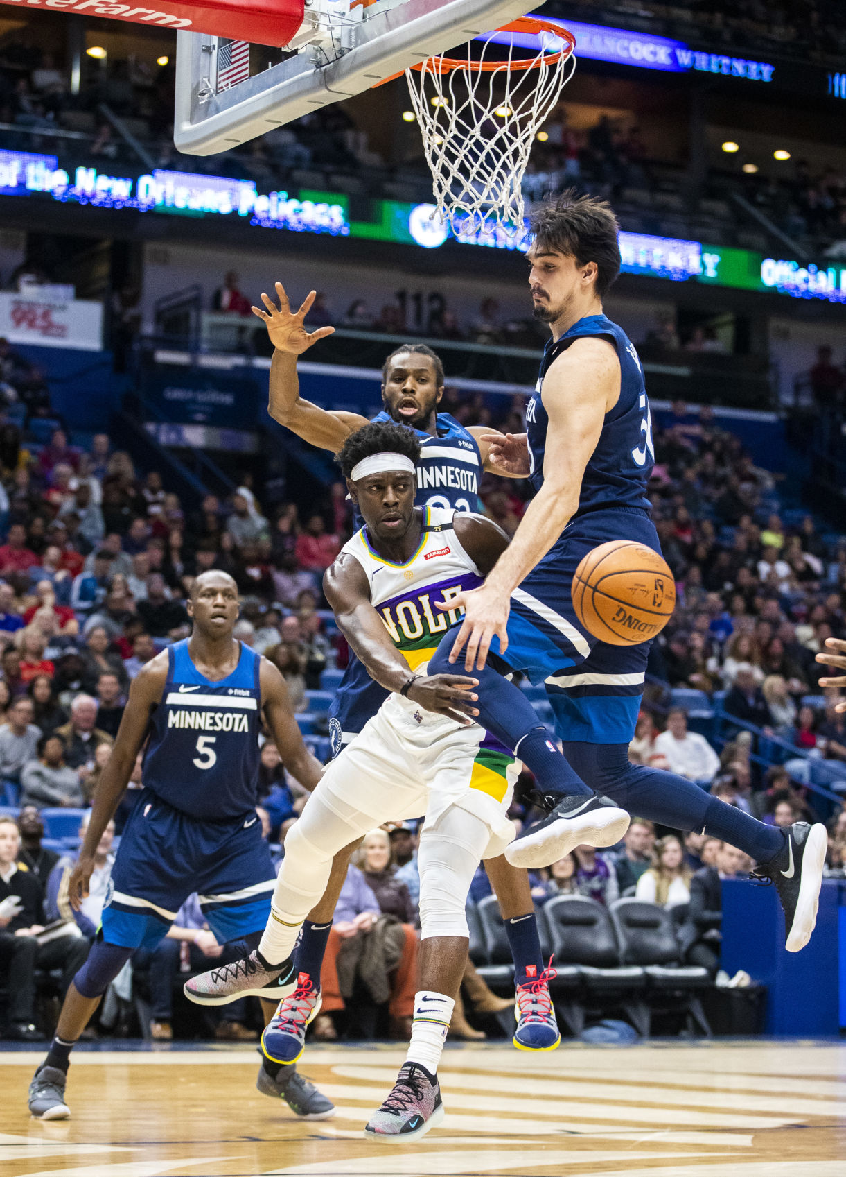 NO.pelicanwolves.020819.08.JPG